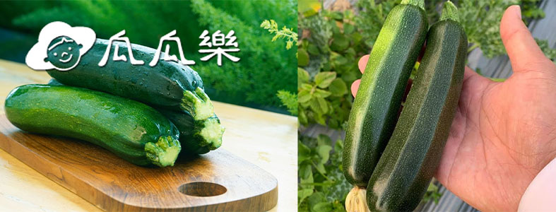 瓜瓜樂蔬果園