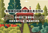 有限責任桃園市野農生產合作社
