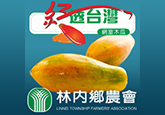 雲林縣林內鄉農會