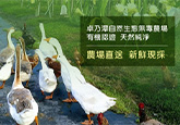 卓乃潭無毒生態農場-許祐瑜